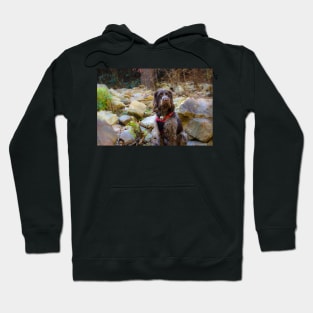 Monty Hiking Linville Gorge Hoodie